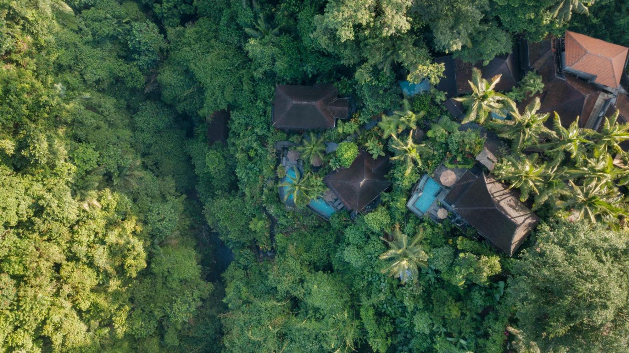 Bidadari Private Villas & Retreat Ubud Kültér fotó