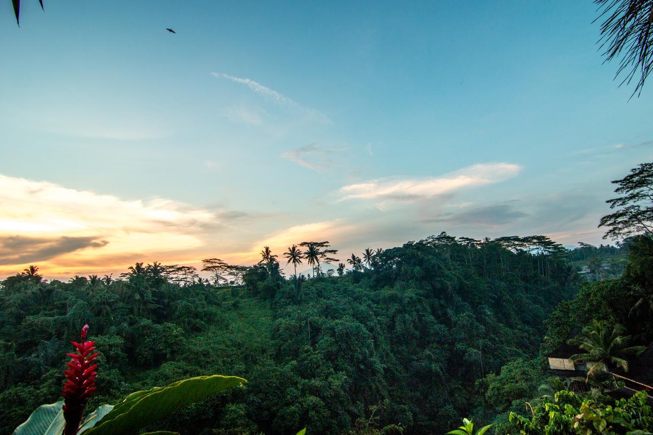 Bidadari Private Villas & Retreat Ubud Kültér fotó